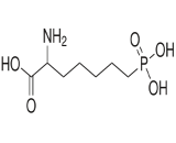 2-Amino-7-Phosphonoheptanoic Acid (AP7)