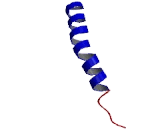 5-Hydroxytryptamine Receptor 1B (HTR1B)