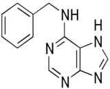 6-Benzylaminopurine (BAP)