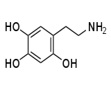 6-Hydroxydopamine (6-OHDA)