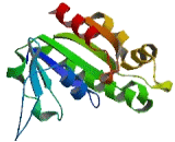 ADP Ribosylation Factor Domain Protein 1 (ARFD1)