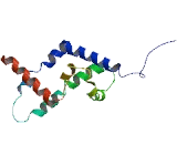 ADP Ribosylation Factor Like 2 Binding Protein (ARL2BP)