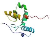 AT-Rich Interactive Domain Containing Protein 1A (ARID1A)