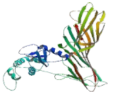 Adaptor Related Protein Complex 3 Mu 2 (AP3m2)