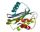 Adaptor Related Protein Complex 1 Sigma 3 (AP1s3)