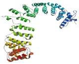 Adaptor Related Protein Complex 4 Beta 1 (AP4b1)