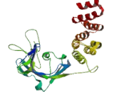 Aryl Hydrocarbon Receptor Interacting Protein (AIP)