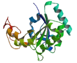 Basic Salivary Proline Rich Protein 4 (PRB4)