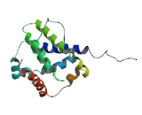 Bcl2 Associated X Protein (Bax)