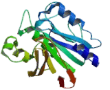 Calcineurin Like Phosphoesterase Domain Containing Protein 1 (CPPED1)