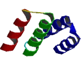 Cell Division Cycle Protein 16 (CDC16)