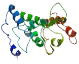 Chromosome 20 Open Reading Frame 196 (C20or<b>f196</b>)