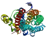 Coiled Coil Domain Containing Protein 174 (CCD<b>C174</b>)