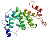 Ariadne 2 Homolog Opposite Strand Protein (ARIH2OS)