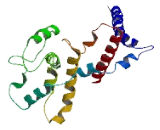 Androgen Dependent TFPI Regulating Protein (ADTRP)
