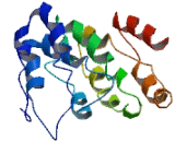 ZNF252P Antisense Gene Protein 1 (ZNF252P-AS1)