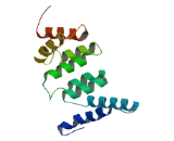 Leucine Rich Adaptor Protein 1 Like Protein (LURAP1L)