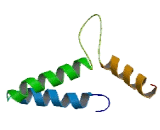 Coiled Coil Domain Containing Protein 107 (CCD<b>C107</b>)