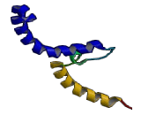 Coiled Coil Domain Containing Protein 130 (CCDC130)