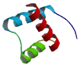 Engrailed Homeobox Protein 1 (EN1)