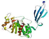 Abhydrolase Domain Containing Protein 17A (ABHD17A)