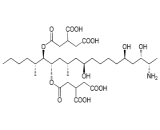 Fumonisin B1 (FumB1)
