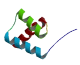 GS Homeobox Protein 1 (GSX1)
