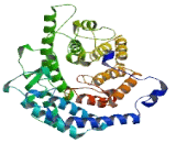 Lantibiotic Synthetase Component C Like Protein 3 (LANCL3)