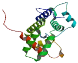 Phosphoinositide-3-Kinase Regulatory Subunit 1 (PIK3R1)