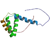 Programmed Cell Death Protein 5 (PDCD5)