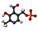 Pyridoxal Phosphate (PLP)
