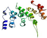 Six Transmembrane Epithelial Antigen Of The Prostate 1 (STEAP1)