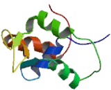 Adaptor Related Protein Complex 5 Zeta 1 (AP5z1)