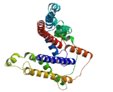 Zinc Finger, SWIM-Type Containing Protein 4 (ZSWIM4)