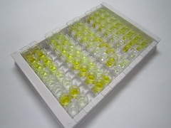 ELISA Kit for Homovanillic Acid (HVA)