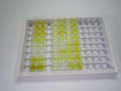 ELISA Kit for Spermidine (SMD)