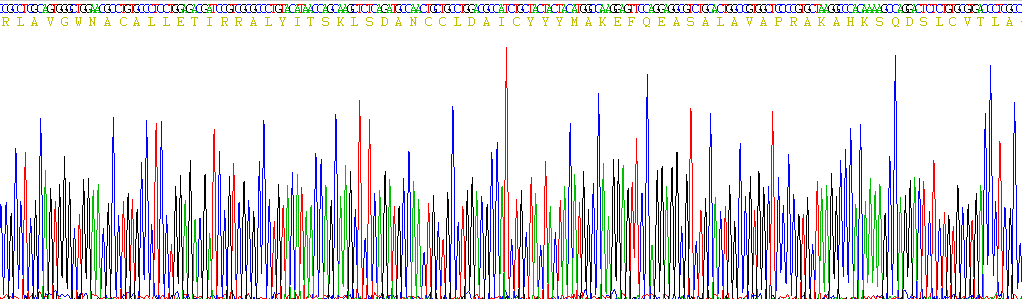 Recombinant G Protein Coupled Receptor 35 (GPR35)