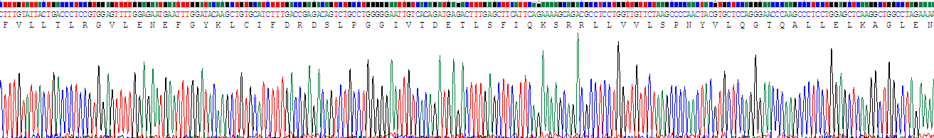 Recombinant Interleukin 1 Receptor Accessory Protein (IL1RAP)
