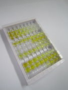 ELISA Kit for Heat Shock Protein 40 (HSP40)