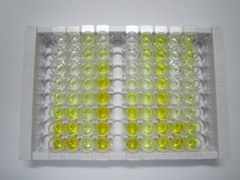 ELISA Kit for Acid Phosphatase 5, Tartrate Resistant (ACP5)