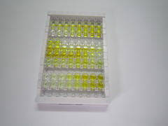 ELISA Kit for Leucine Rich Alpha-2-Glycoprotein 1 (LRG1)