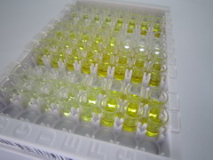 ELISA Kit for Pigment Epithelium Derived Factor (PEDF)