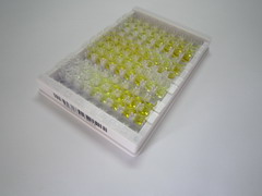 ELISA Kit for Fibroblast Growth Factor 8, Androgen Induced (FGF8)