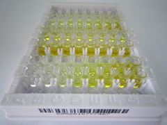 ELISA Kit for S100 Calcium Binding Protein A14 (S100A14)