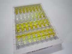 ELISA Kit for Chymase 1, Mast Cell (CMA1)