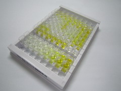 ELISA Kit for Autophagy Related Protein 7 (ATG7)