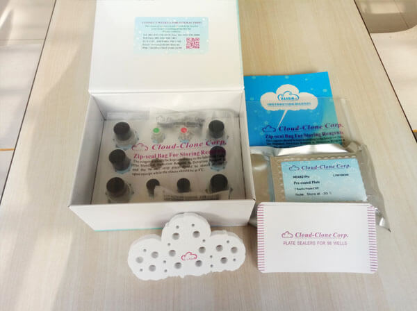 Mini Samples ELISA Kit for Leptin (LEP)