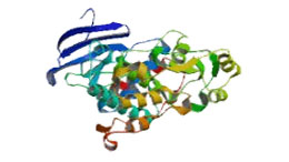 Extracellular Signal-Regulated Protein Kinase 5(ERK5)—One Signal Pathway of MAPK