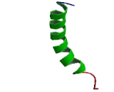 5-Hydroxytryptamine Receptor 1A (HTR1A)