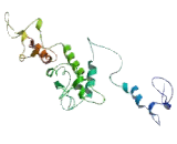 5'-Nucleotidase, Cytosolic IB (NT5C1B)